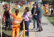 Alcorcón supera los 8.500 árboles plantados en la legislatura