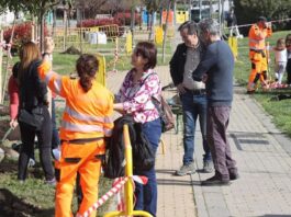 Alcorcón supera los 8.500 árboles plantados en la legislatura