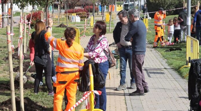 Alcorcón supera los 8.500 árboles plantados en la legislatura