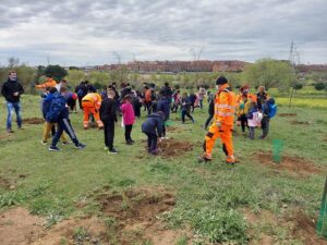 Alcorcón supera los 8.500 árboles plantados en la legislatura