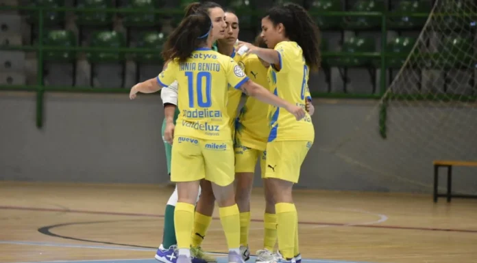 Carrusel de fichajes para el Alcorcón de fútbol sala femenino: nuevo entrenador y cuatro incorporaciones https://alcorconhoy.com/wp-content/uploads/2026/07/alcorcon-futbol-sala-femenino-fsf.webp