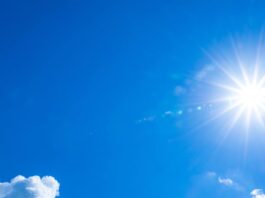 La AEMET activa el aviso naranja en Alcorcón por altas temperaturas: se rozarán los 40ºC La AEMET activa el aviso naranja en Alcorcón por altas temperaturas: se rozarán los 40ºC