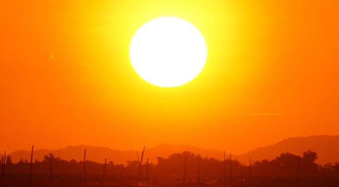 Nueva ola de calor en Alcorcón: hasta el 2 de agosto con casi 40 grados de máxima