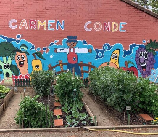 Los Campamentos de Verano de Alcorcón incorporan climatización en los centros escolares