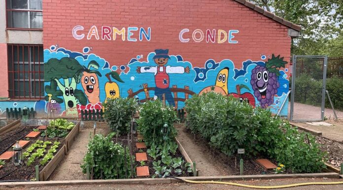 Los Campamentos de Verano de Alcorcón incorporan climatización en los centros escolares