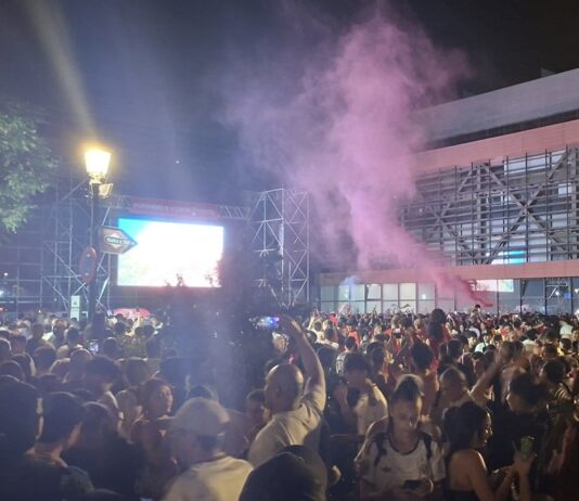 Alcorcón podrá vivir en directo el España - Argentina de la final del Mundial en una pantalla gigante en el Recinto Ferial