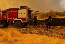 Alcorcón alerta por el humo de los incendios: recomendaciones para proteger la salud