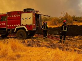 Alcorcón alerta por el humo de los incendios: recomendaciones para proteger la salud