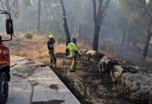 Alcorcón continúa ayudando en los incendios: bomberos del municipio trabajan en San Martín de Valdeiglesias