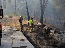 Alcorcón continúa ayudando en los incendios: bomberos del municipio trabajan en San Martín de Valdeiglesias