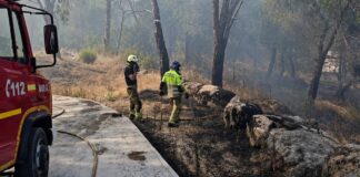 Alcorcón continúa ayudando en los incendios: bomberos del municipio trabajan en San Martín de Valdeiglesias