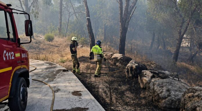 Alcorcón continúa ayudando en los incendios: bomberos del municipio trabajan en San Martín de Valdeiglesias