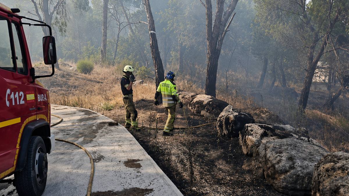 Alcorcón continúa ayudando en los incendios: bomberos del municipio trabajan en San Martín de Valdeiglesias