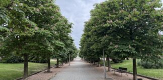 Alerta por calor en Alcorcón: estas son las recomendaciones a seguir por los vecinos