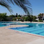 Los mejores planes para disfrutar en Alcorcón del verano 2026