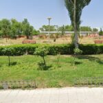 Alcorcón impulsa la revegetación de San José de Valderas mientras crecen las críticas al estado del arbolado