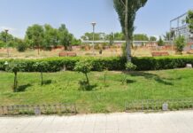 Alcorcón impulsa la revegetación de San José de Valderas mientras crecen las críticas al estado del arbolado