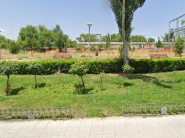 Alcorcón impulsa la revegetación de San José de Valderas mientras crecen las críticas al estado del arbolado