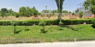 Alcorcón impulsa la revegetación de San José de Valderas mientras crecen las críticas al estado del arbolado