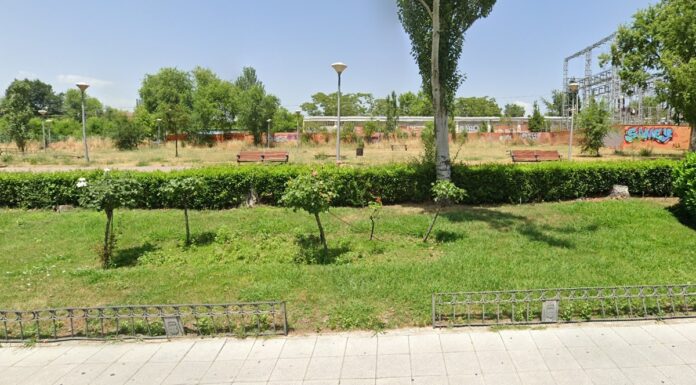 Alcorcón impulsa la revegetación de San José de Valderas mientras crecen las críticas al estado del arbolado