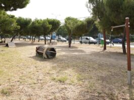 Alcorcón avanza en la creación de cuatro nuevas áreas caninas y renueva más de 13.000 m² de zona Alcorcón avanza en la creación de cuatro nuevas áreas caninas y renueva más de 13.000 m² de zona