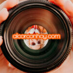 Nuevas cifras récord de alcorconhoy.com gracias a todos vosotros