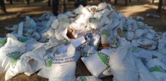 Más de una decena de expedientes abiertos por vertidos ilegales en Alcorcón: así funcionan las cámaras de seguridad
