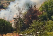 Producido un incendio de pastos frente al Hospital Universitario Fundación Alcorcón