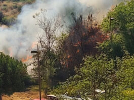Producido un incendio de pastos frente al Hospital Universitario Fundación Alcorcón Producido un incendio de pastos frente al Hospital Universitario Fundación Alcorcón