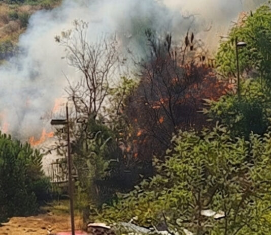 Producido un incendio de pastos frente al Hospital Universitario Fundación Alcorcón Producido un incendio de pastos frente al Hospital Universitario Fundación Alcorcón