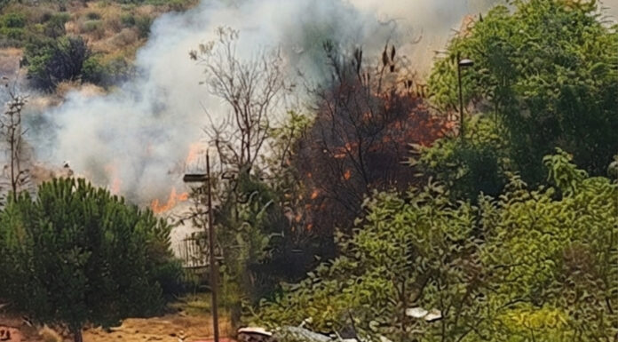Producido un incendio de pastos frente al Hospital Universitario Fundación Alcorcón