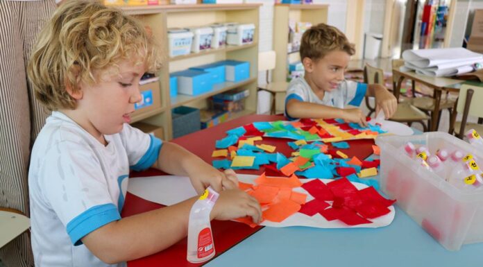 Cómo la educación infantil está adaptando sus aulas para formar ciudadanos en diversidad e inclusión
